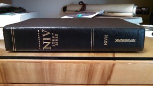 NIV Study Bible 01 - Spine